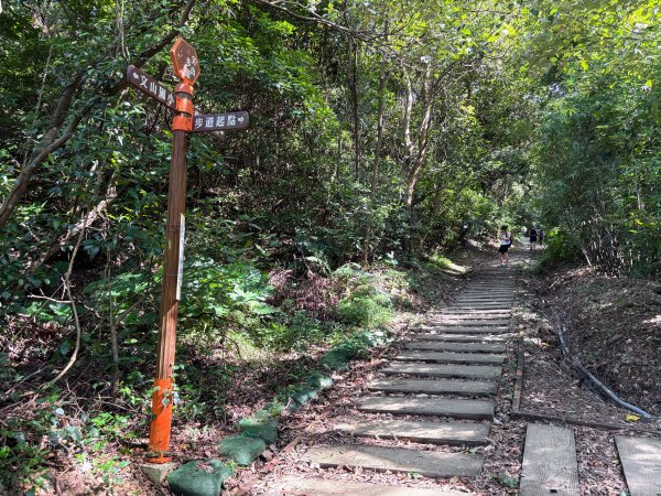 犁頭山、文山步道2835636