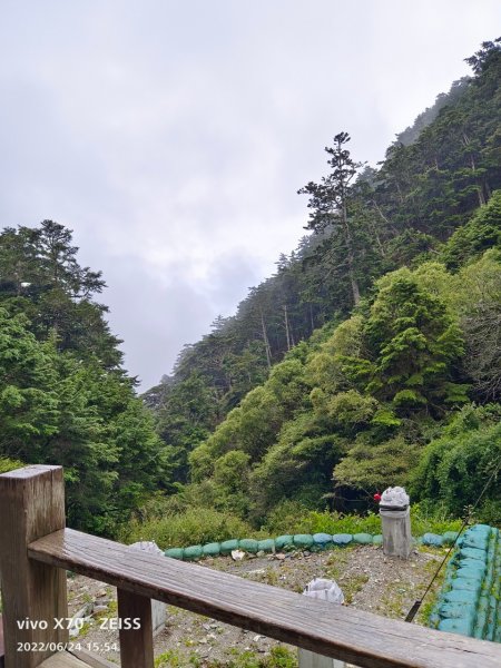 20220625台東海端向陽山、向陽山北峰、三叉山、嘉明湖1745453
