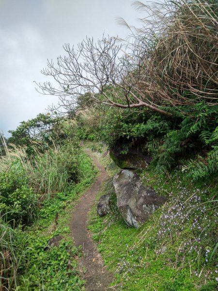 基隆山 金瓜石地質公園 報時山1056040