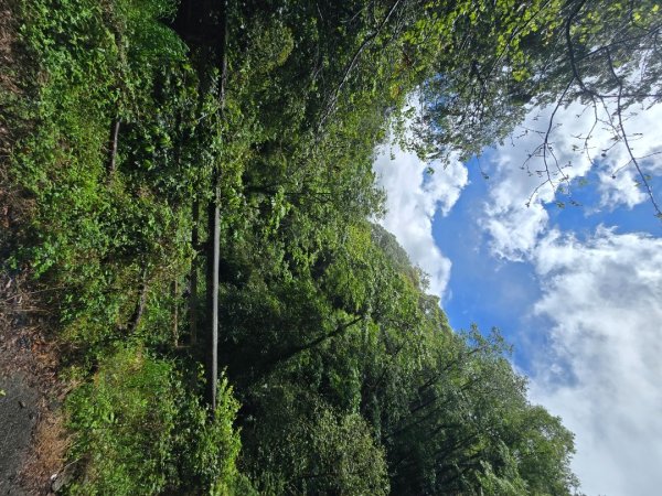 四大鳥山之首小劍山2773946