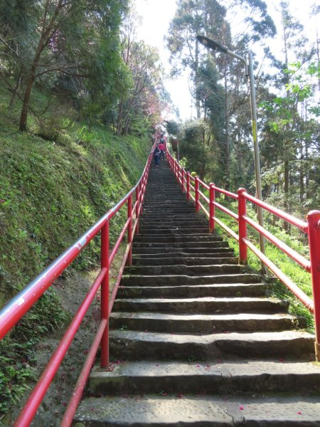 仙山登山步道O形走+小百岳No.33仙山2715828