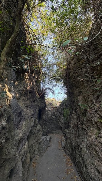 尋仙、鑽洞、啖肥雞3002766