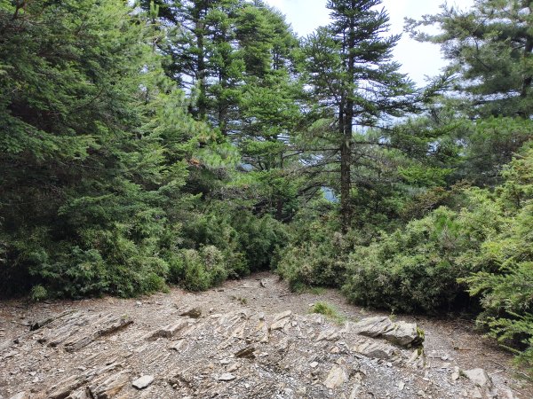 北一段(13/14)審馬陣山 2025_0906~132887557