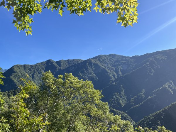 [玉山尋寶任務-03/12] 2025_0810 瓦拉米步道2857529