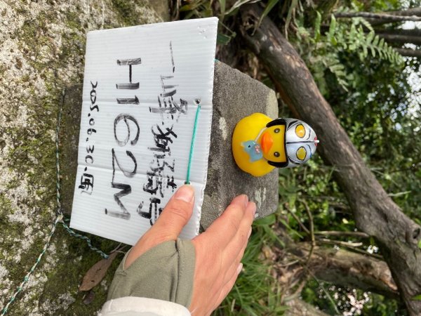 銀河洞越嶺貓空-新高麗坑山-銀獅縱走-猴山岳群峰+三條魚縱走2955919