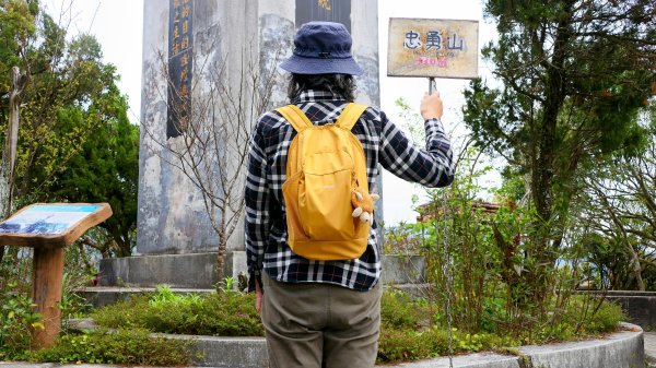 《臨江仙・碧山巖櫻花》2714223