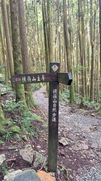 橫沙笛O繞2824582