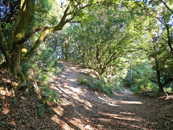 尾寮山-小百岳#73-屏東縣三地門鄉2931086