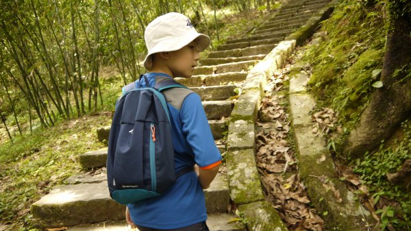 五分寮古道登山健行趣(淡蘭中路支線)2269090