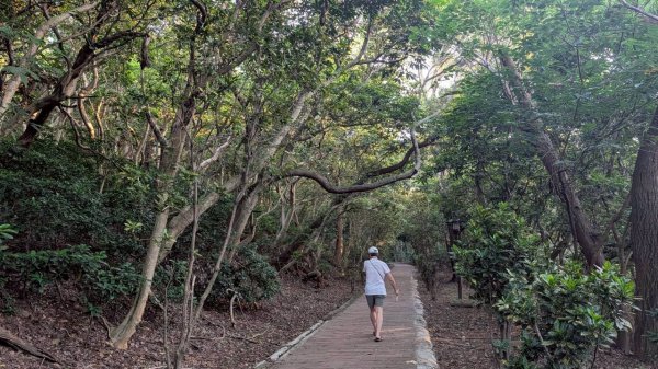 十八尖山步道3056557