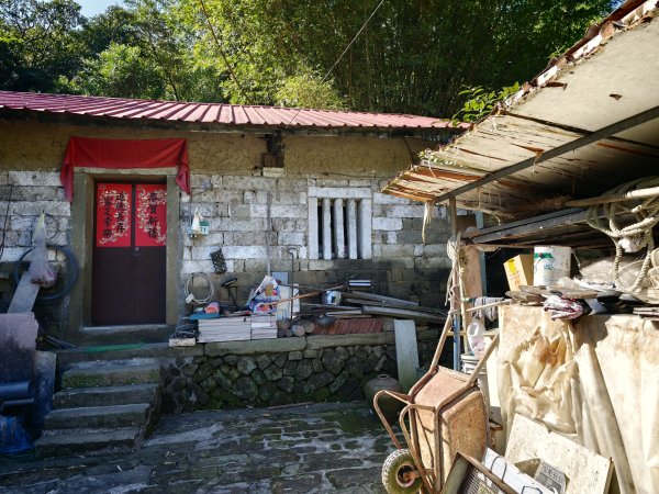 [淡蘭古道] 2026_0614 南路第二段_倒照湖山步道3096903