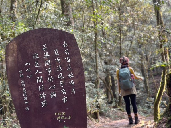 金柑樹山 杉林溪森林遊樂區2449160