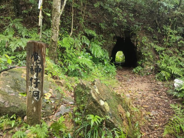 微笑山線：【五分山系】菁桐煤礦段2954740