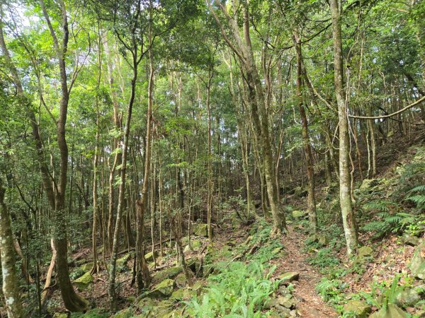 水雲三星～上島山（鳥嘴山）2931256