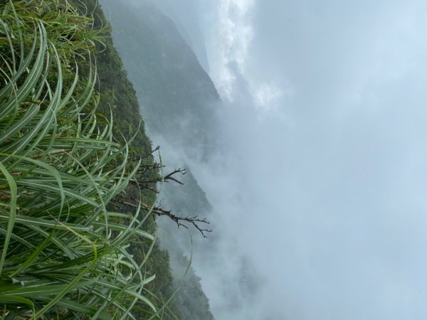 步道巡訪員 l 聖母登山步道109八月份巡訪1085489