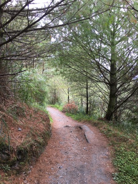 20161109-10_奇萊南華873699