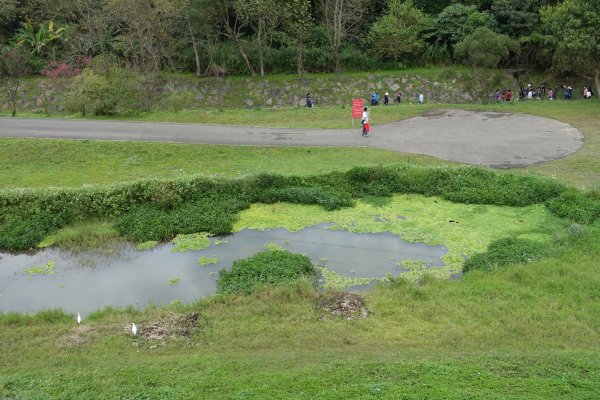 大溝溪親水公園．圓覺瀑布1269511