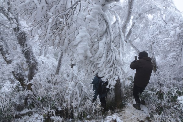  2021 D0101 純色北插1225500