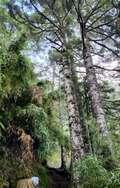 【百岳縱走】世紀奇峰，大霸尖山2741489