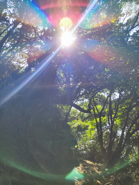 龜山福源山-牛灶坑山-鶯歌火車站走春遊2701327