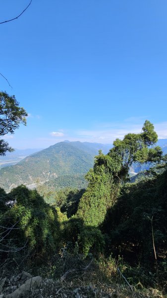 250123-八攀魔王小百岳#073尾寮山。想不到美美兔尾寮山五闖、六登、七衝已攻佔＜台灣森林悠遊網2697997