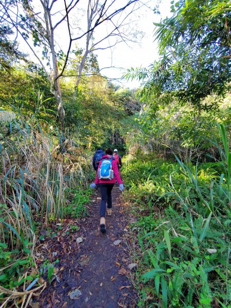 【苗粟 | 馬拉邦山】1227220