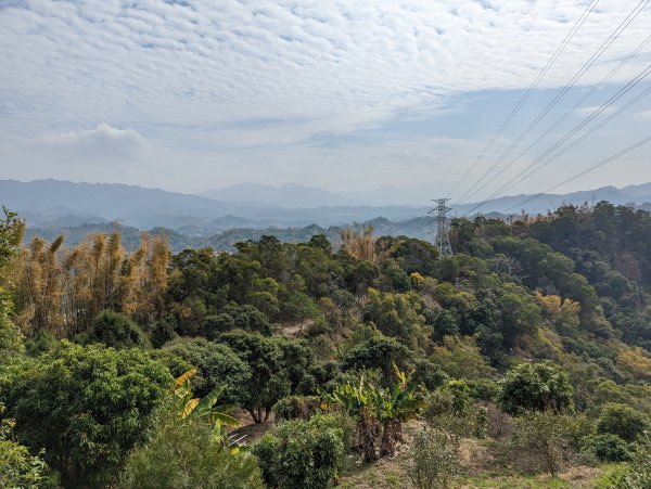 2023-02-04 大坑9、10號步道2792383