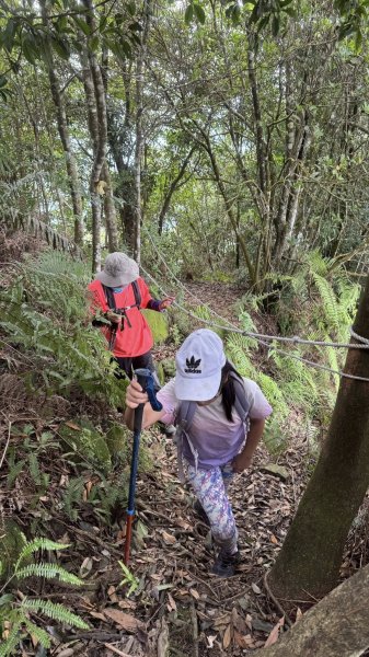 20250824小百岳大橫屏山2871816