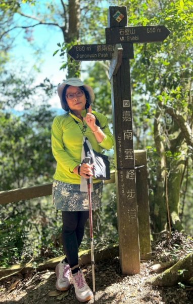 九穹神木 左訪嘉南雲峰 右到好望角看風景上石壁山(小百岳#55)2944852