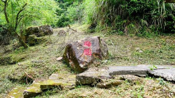 石碇大崙,人頭面山,獅公髻尾山2800414