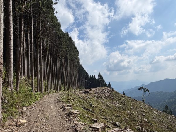 1150619屋我尾山北峰-屋我尾山主峰-屋我尾林道O繞3078495