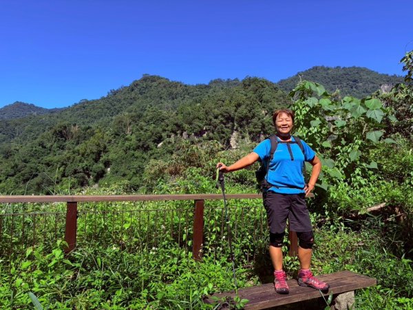 阿里山達娜伊谷、里美避難步道、巨石板步道2909956