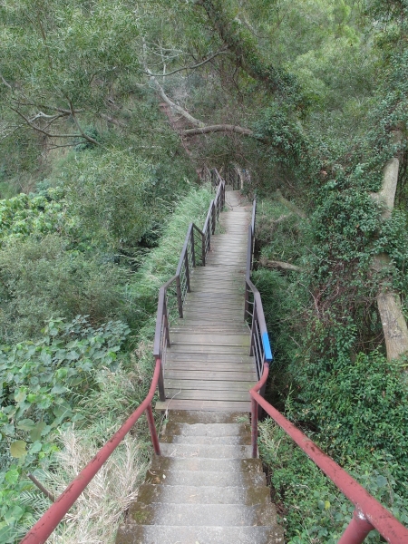 清水岩~中央領~橫山觀日~山湖步道之旅96815