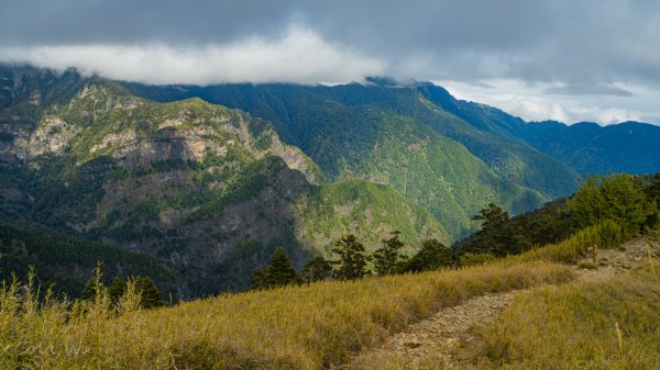 雪山東峰壯麗的山景&動植物1521807