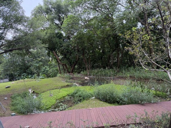 [2026臺北健走趣-14/50] 2026_0823_木柵公園3122244