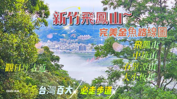 【飛鳳山、觀日坪古道】台灣百大必訪步道，中坑山、石壁潭山、大板根，金魚型環繞。
