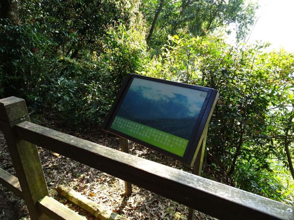 雲林古坑-嘉南雲峰及石壁山295488