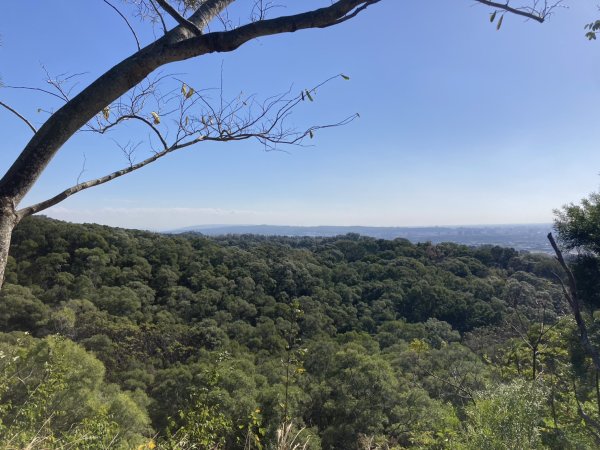 大肚萬里長城步道2973914