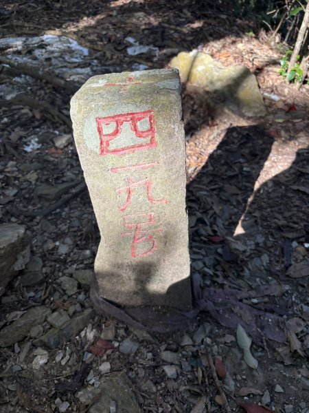 20251207藤枝山步道2957637