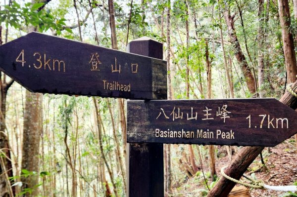 【中級山】谷關七雄八仙山2745068