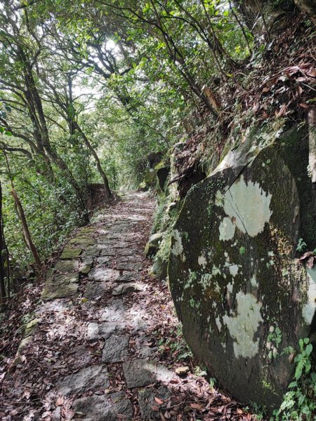 百拉卡公路人車分道 - 走遍陽明山尋寶任務2298059