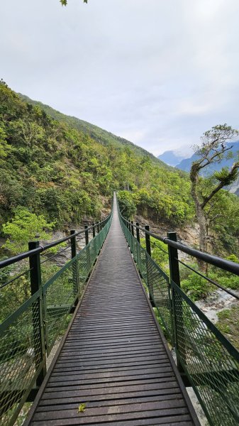 【美美兔走山趣】瓦拉米單攻27.2K-神人級路線。2773379