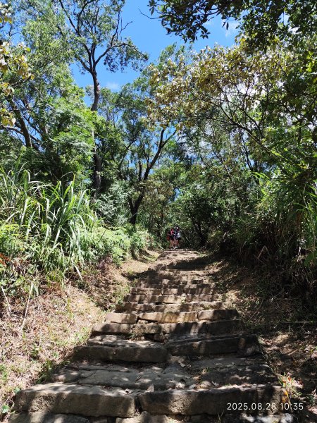 翠山步道、大崙頭尾山親山步道【臺北健走趣】2874333