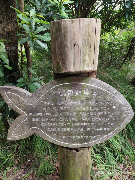 大湖公園→大溝溪生態治水園區→圓覺寺步道→圓覺瀑布→圓覺寺→鯉魚山步道【臺北大縱走 4、臺北健走趣】2849152