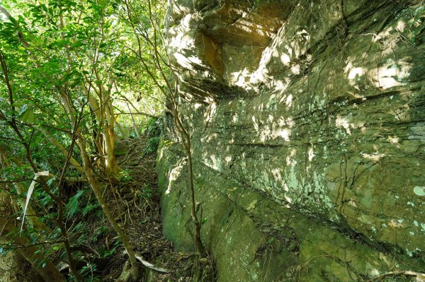 新北 三峽 金敏子山、詩朗山、塞口坑山、內金敏山2565614