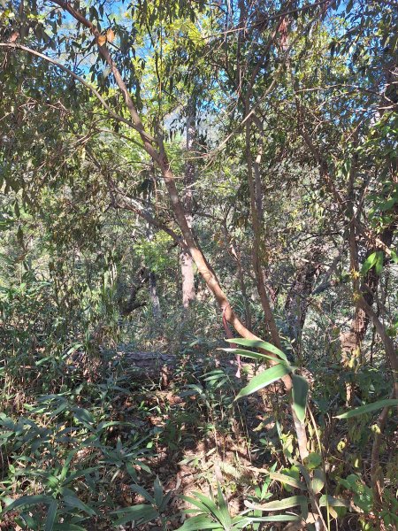 上谷關山202511202940861