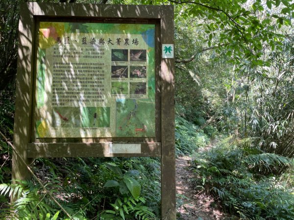 新北｜瑞芳．雙溪 淡蘭古道中路．暖東舊道（TK2-1~2-5 暖東峽谷步道、暖東舊道、五分山步道）2004153