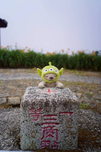 太麻里金針山2872617