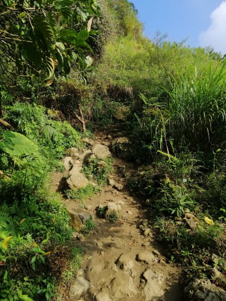 台南白河~台南第一高峰。 關仔嶺大凍山917821