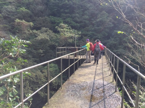 淡蘭古道-燦光寮古道沿著雙蕨葉指標而行485339